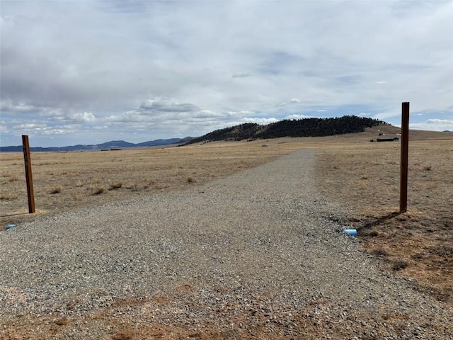 6600 Routt Rd, Hartsel, CO 80449 - photo 4