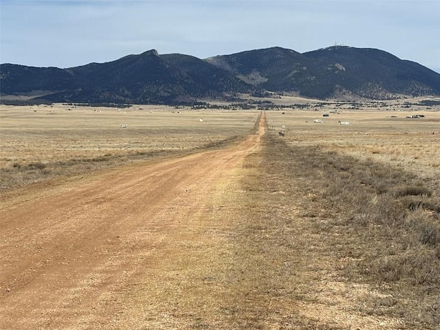 6600 Routt Rd, Hartsel, CO 80449 - photo 19