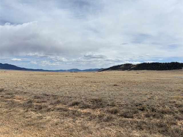 6600 Routt Rd, Hartsel, CO 80449 - photo 12