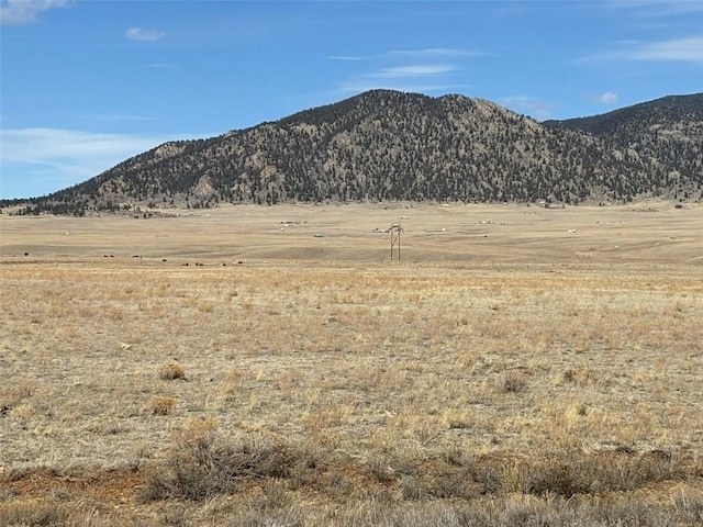 6600 Routt Rd, Hartsel, CO 80449 - photo 5