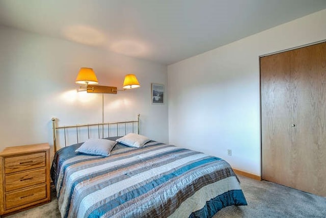 bedroom with a closet and carpet