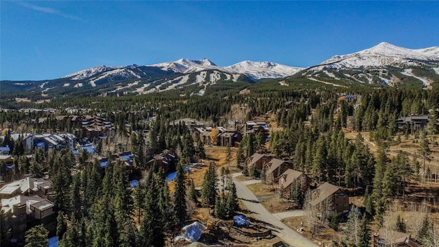 mountain view with a wooded view