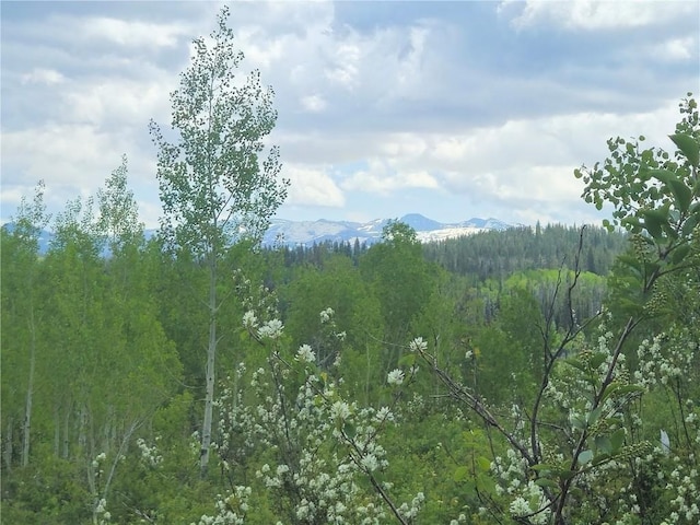 57615 Longfellow Way, Clark, CO 80428