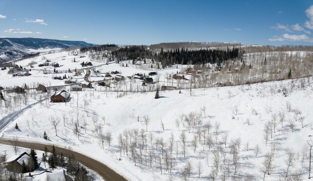 57615 Longfellow Way, Clark, CO 80428