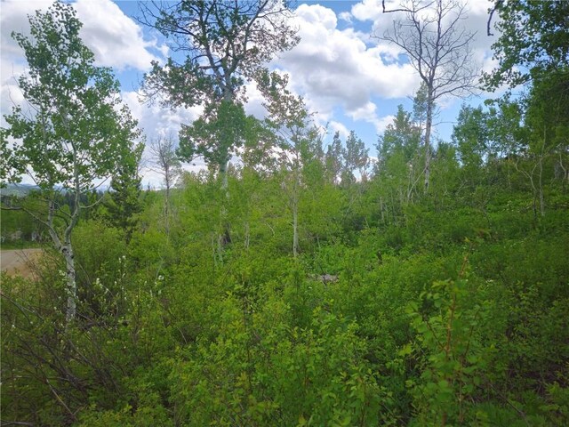 57615 Longfellow Way, Clark, CO 80428