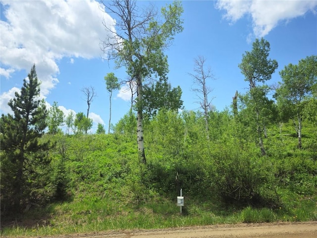 57615 Longfellow Way, Clark, CO 80428