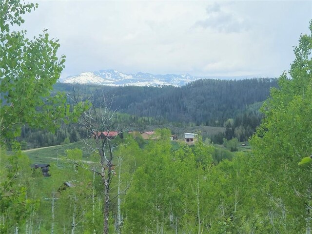 57615 Longfellow Way, Clark, CO 80428