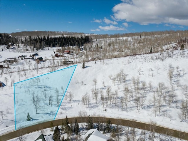57615 Longfellow Way, Clark, CO 80428