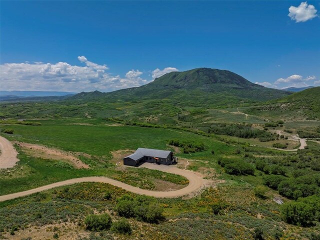 45547 Four Seasons Way, Steamboat Springs, CO 80487 - photo 49