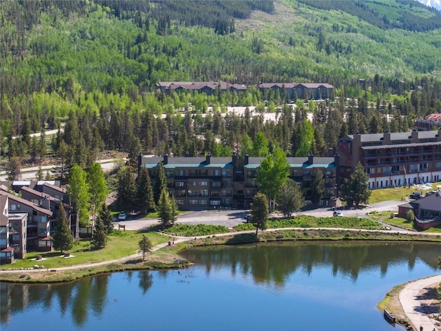 22300 US Highway 6 Unit 1746, Keystone, CO 80435 - bird's eye view of a heavily wooded area and a nearby body of water