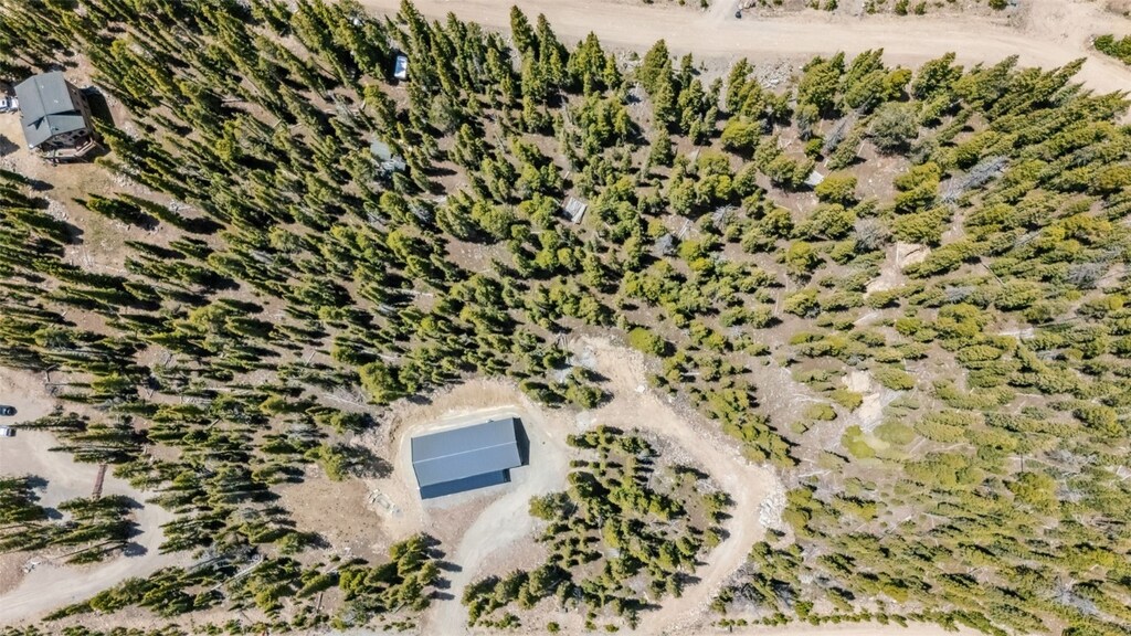 239 Puma Pl, Fairplay, CO 80440 - photo 2