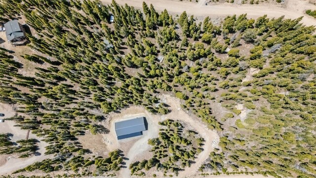 239 Puma Pl, Fairplay, CO 80440 - photo 2