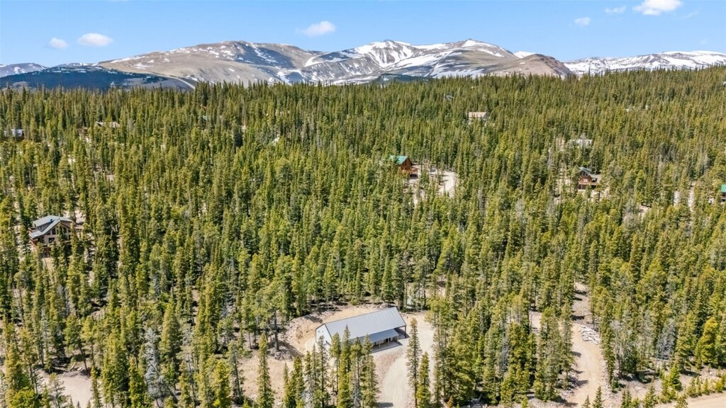 239 Puma Pl, Fairplay, CO 80440 - photo 3