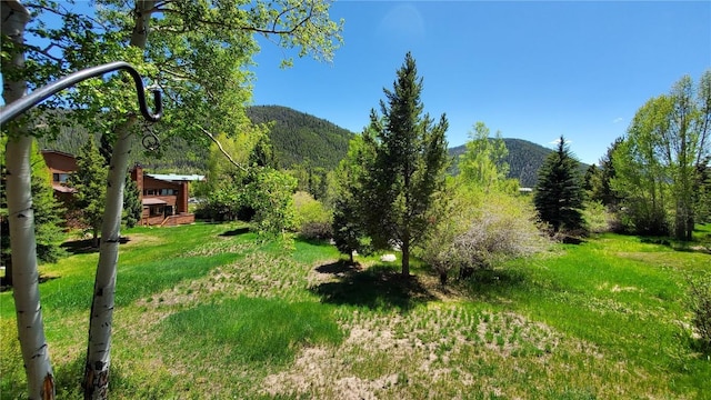 620 Tennis Club Rd Unit 1337, Keystone, CO 80435 - view of grassy yard featuring a mountain view