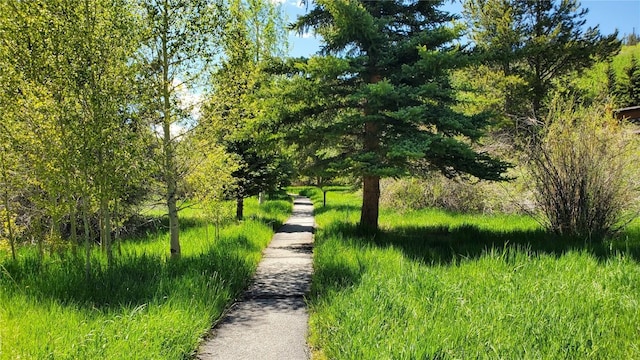 620 Tennis Club Rd Unit 1337, Keystone, CO 80435 - surrounding community