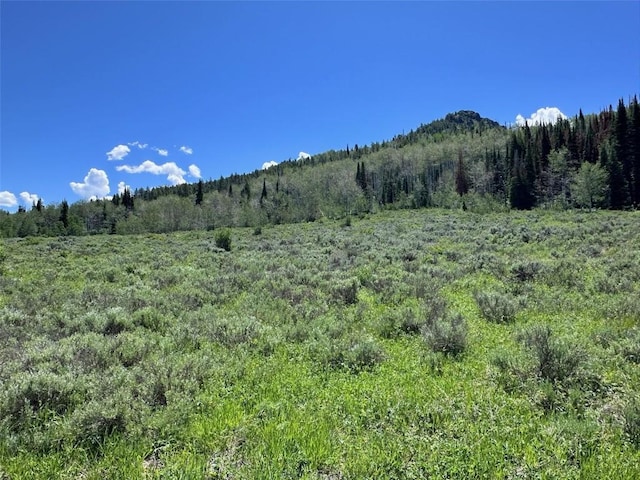 23910 Arapahoe Rd, Oak Creek, CO 80467