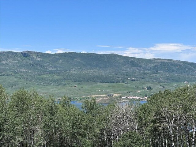 23910 Arapahoe Rd, Oak Creek, CO 80467