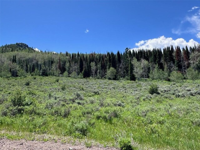 23910 Arapahoe Rd, Oak Creek, CO 80467