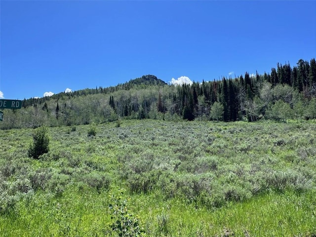 23910 Arapahoe Rd, Oak Creek, CO 80467