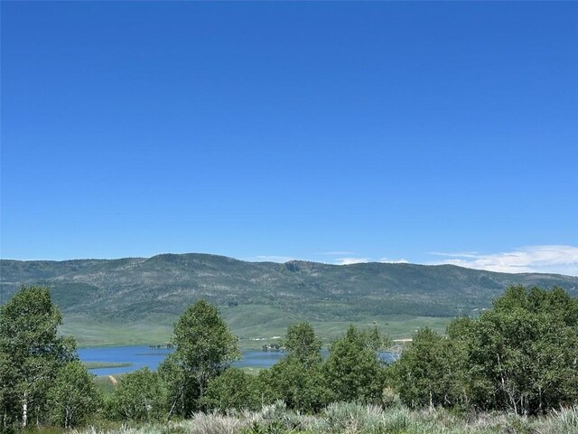23910 Arapahoe Rd, Oak Creek, CO 80467