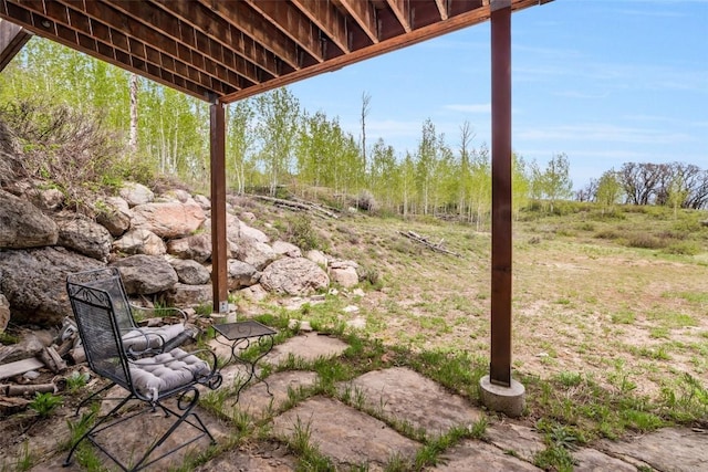 51193 Smith Creek Park Rd, Steamboat Springs, CO 80487 - view of yard