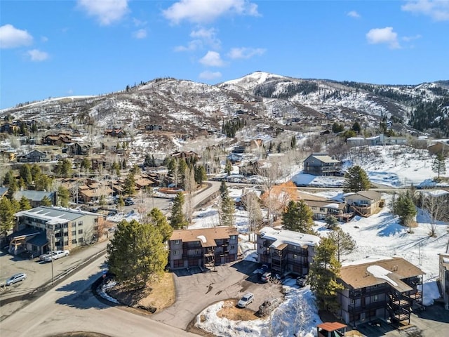 snowy aerial view with a mountain view
