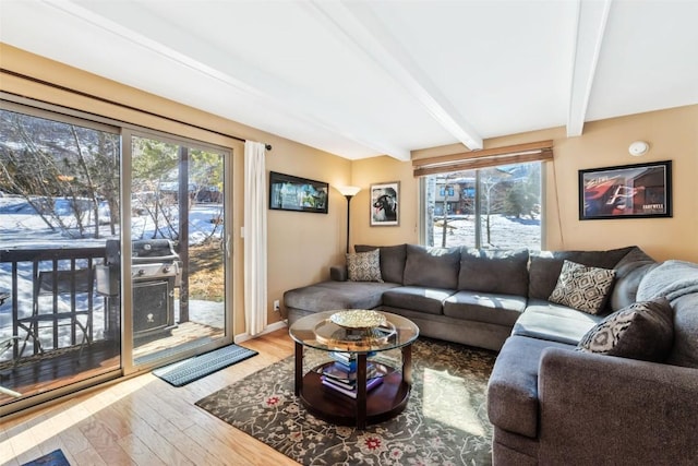 living room featuring a wealth of natural light, wood finished floors, and beamed ceiling