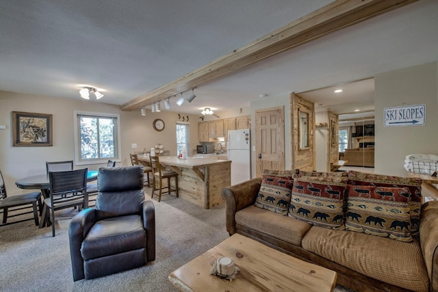 760 Columbine Rd Unit A7, Breckenridge, CO 80424 - photo 6