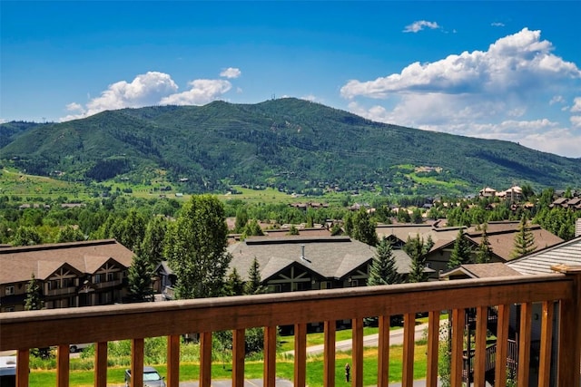 3185 Apres Ski Way, Steamboat Springs, CO 80487 - photo 39