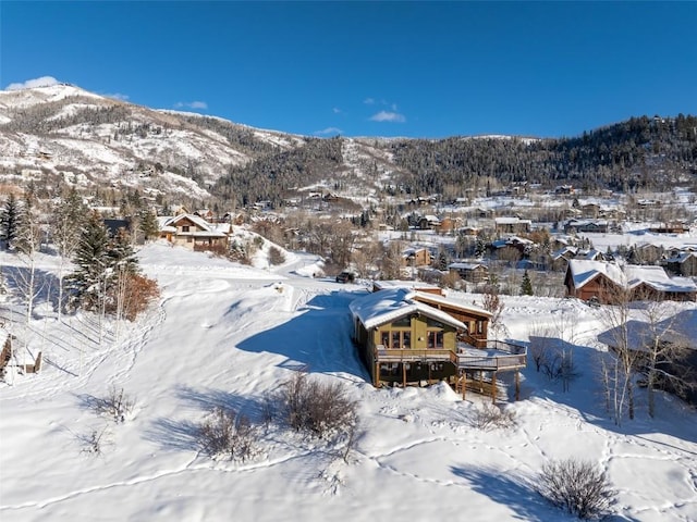 3185 Apres Ski Way, Steamboat Springs, CO 80487 - photo 8