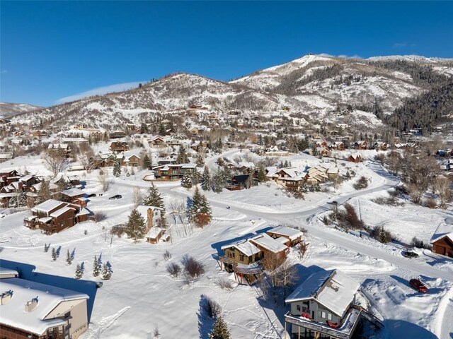 3185 Apres Ski Way, Steamboat Springs, CO 80487 - mountain view