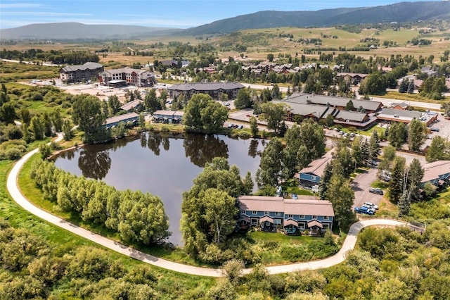 3178 Ingles Ln Unit C4, Steamboat Springs, CO 80487 - photo 4