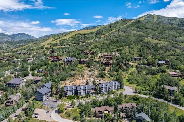 birds eye view of property featuring a mountain view and a view of trees