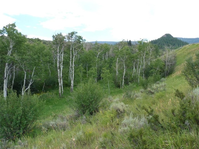 23540 Cresent Way, Oak Creek, CO 80467 - photo 20