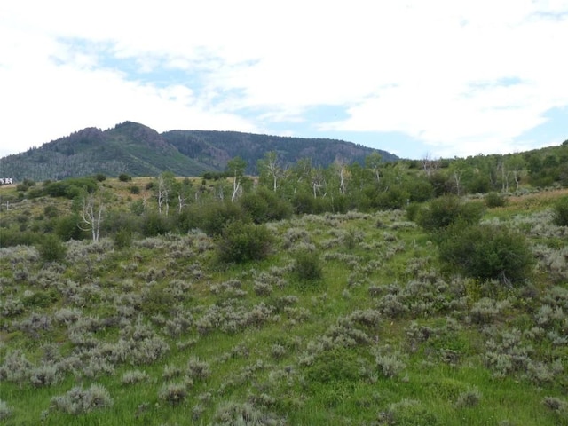 23540 Cresent Way, Oak Creek, CO 80467 - photo 18