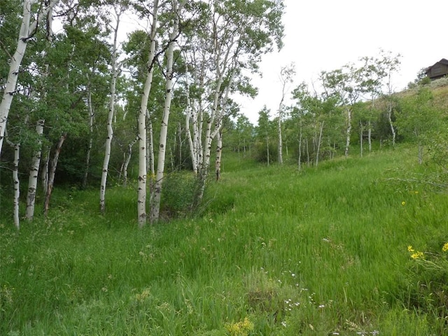 23540 Cresent Way, Oak Creek, CO 80467 - photo 15