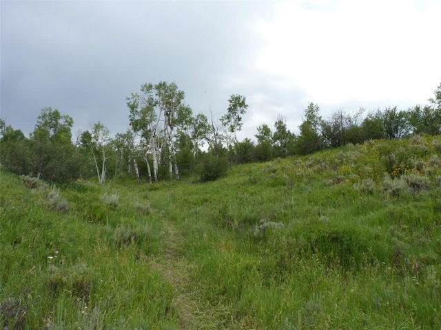 23540 Cresent Way, Oak Creek, CO 80467 - photo 13