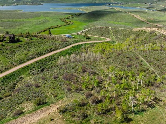 23540 Cresent Way, Oak Creek, CO 80467 - photo 5