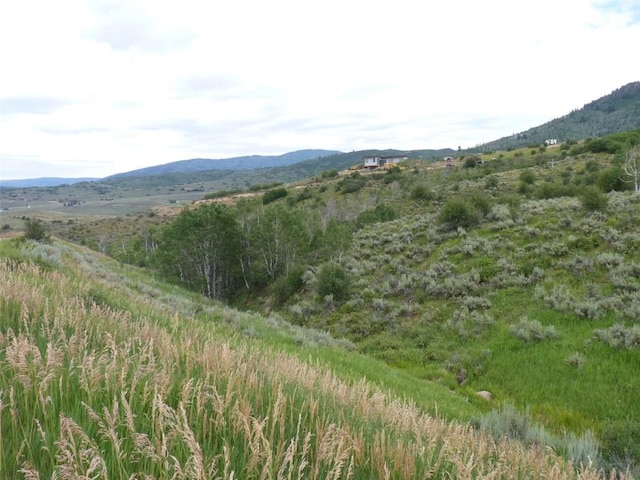 23540 Cresent Way, Oak Creek, CO 80467 - photo 19