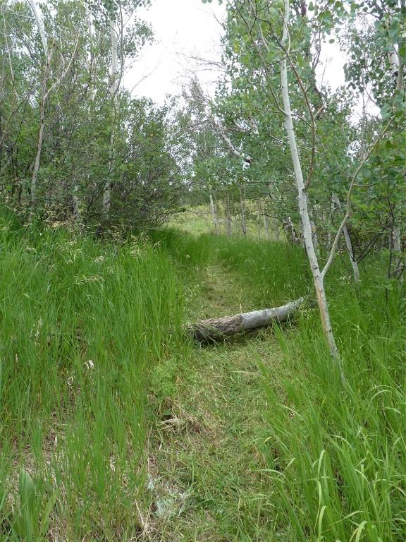 23540 Cresent Way, Oak Creek, CO 80467 - photo 14
