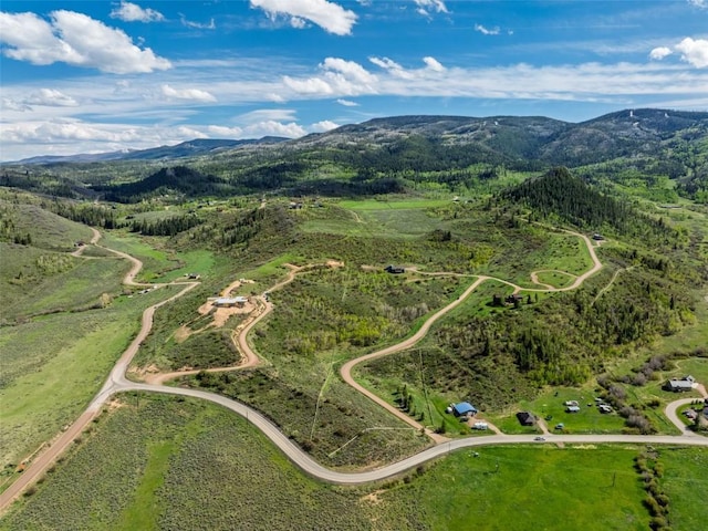 23540 Cresent Way, Oak Creek, CO 80467 - photo 9