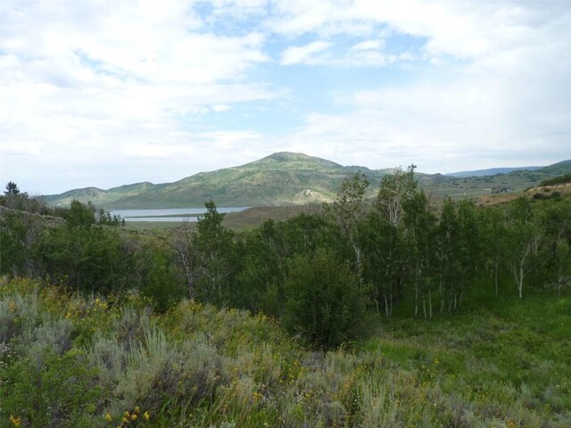 23540 Cresent Way, Oak Creek, CO 80467 - photo 17