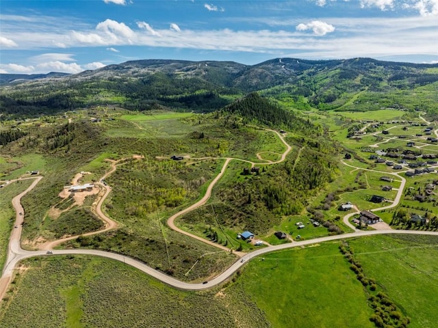 23540 Cresent Way, Oak Creek, CO 80467 - photo 8