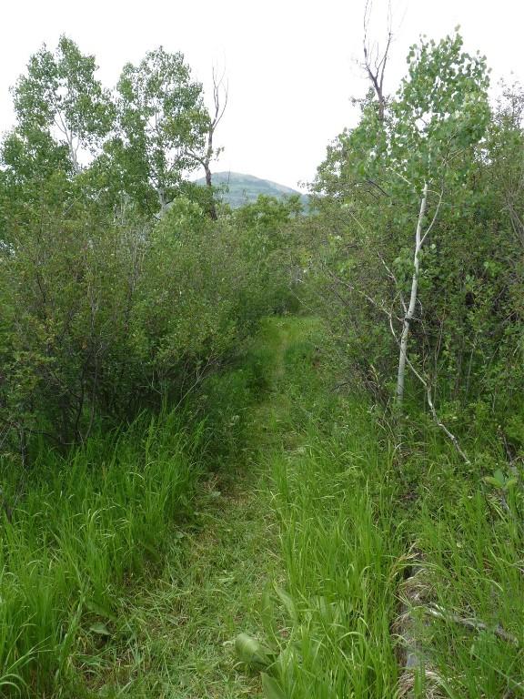 23540 Cresent Way, Oak Creek, CO 80467 - photo 16