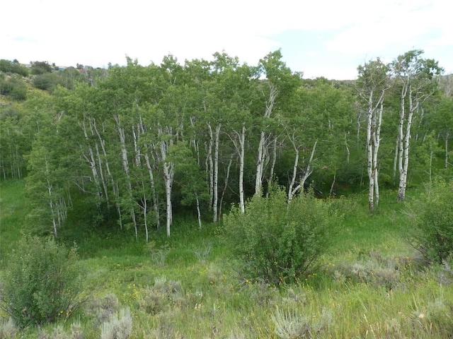 23540 Cresent Way, Oak Creek, CO 80467 - photo 21