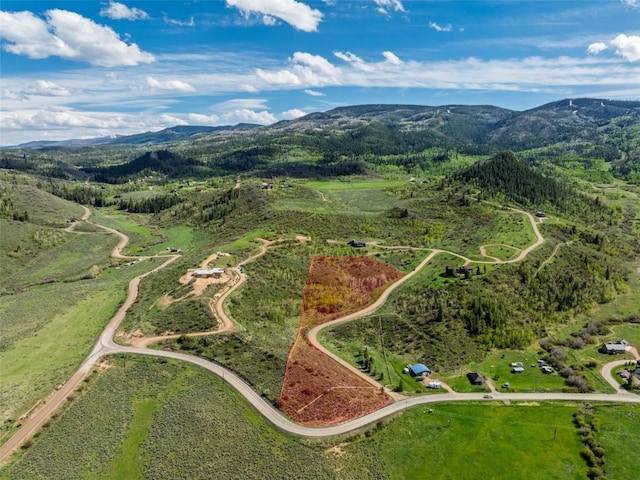 23540 Cresent Way, Oak Creek, CO 80467 - photo 10