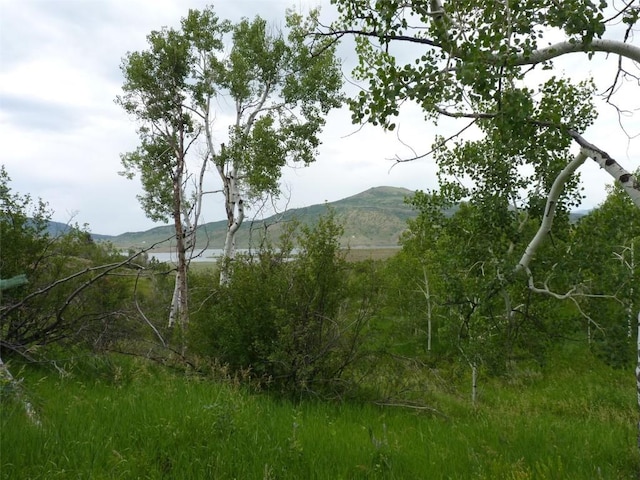23540 Cresent Way, Oak Creek, CO 80467 - photo 12