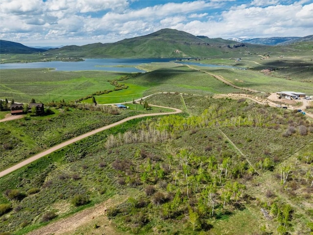 23540 Cresent Way, Oak Creek, CO 80467 - photo 4