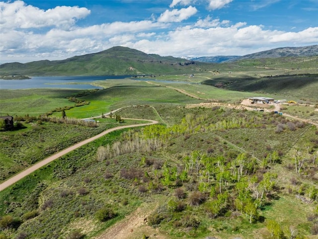 23540 Cresent Way, Oak Creek, CO 80467 - photo 3