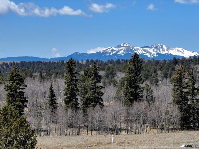 64 Colt Ln, Como, CO 80432